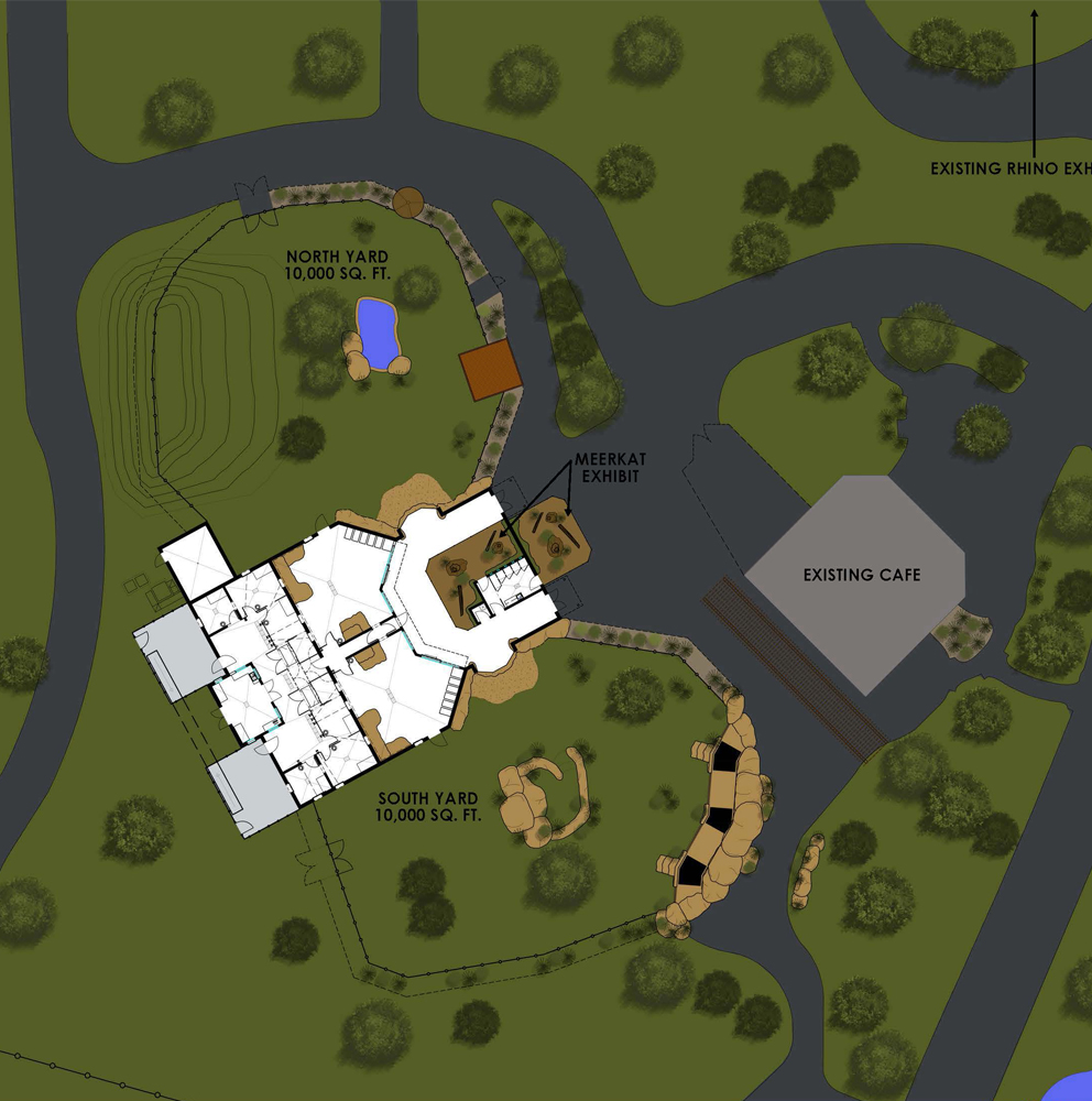 Groundbreaking Great Plains Zoo African Lions Exhibit Sioux Falls